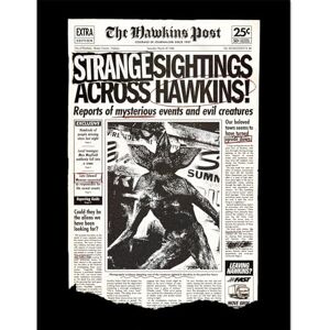 Pyramid Stranger Things (Strange Sightings Across Hawkins) Collector Print 30cm X 40cm Framed Collector Print, Official Licensed Netflix Wall Art Poster, Ready To Hang, One Size Pyramid Stranger Things (Strange Sightings Across Hawkins) Collector Print 30cm X 40cm Framed Collector Print, Official Licensed Netflix Wall Art Poster, Ready To Hang, One Size