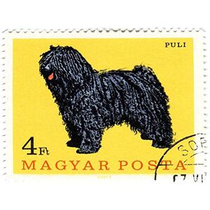 Wee Blue Coo Postage Stamp Hungary Sheep Dog Art Print Poster Wall Decor 12X16 Inch Wee Blue Coo Postage Stamp Hungary Sheep Dog Art Print Poster Wall Decor 12X16 Inch