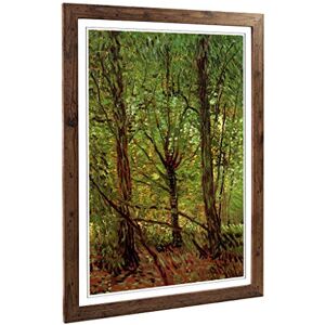 Big Box Art Framed Print of Vincent Van Gogh Trees and Undergrowth Design Wall Art Picture Home Decor for Kitchen, Living Room, Bedroom, Hallway, Walnut, A2 / 24.5x18 Inch / 62x45cm Big Box Art Framed Print of Vincent Van Gogh Trees and Undergrowth Design Wall Art Picture Home Decor for Kitchen, Living Room, Bedroom, Hallway, Walnut, A2 / 24.5x18 Inch / 62x45cm