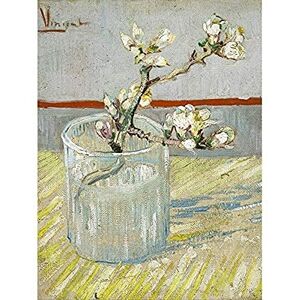 Fine Art Prints Vincent Van Gogh Sprig Of Flowering Almond In A Glass Unframed Wall Art Print Poster Home Decor Premium Fine Art Prints Vincent Van Gogh Sprig Of Flowering Almond In A Glass Unframed Wall Art Print Poster Home Decor Premium