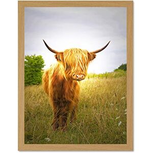 Wee Blue Coo Photo Farm Livestock Animal Highland Cow Calf Scotland Large Framed Art Print Poster Wall Decor 18x24 inch Wee Blue Coo Photo Farm Livestock Animal Highland Cow Calf Scotland Large Framed Art Print Poster Wall Decor 18x24 inch