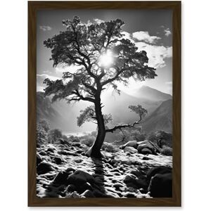 Artery8 Frozen Tree Outline in Mountain Forest Landscape Covered in Snow Black and White Photograph Winter Sunshine Artwork Framed Wall Art Print A4 Artery8 Frozen Tree Outline in Mountain Forest Landscape Covered in Snow Black and White Photograph Winter Sunshine Artwork Framed Wall Art Print A4
