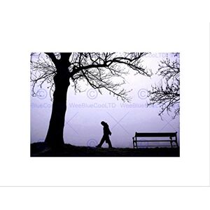 Wee Blue Coo SILHOUETTE TREE WALKING FOG LILAC BLACK FRAME FRAMED ART PRINT PICTURE B12X8070 Wee Blue Coo SILHOUETTE TREE WALKING FOG LILAC BLACK FRAME FRAMED ART PRINT PICTURE B12X8070