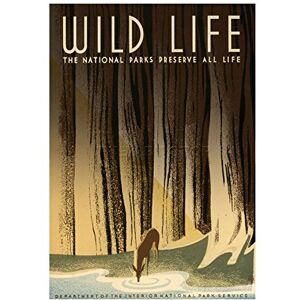 Wee Blue Coo National Parks Wild Life Deer Trees Framed Art Print Picture F12X599 Wee Blue Coo National Parks Wild Life Deer Trees Framed Art Print Picture F12X599