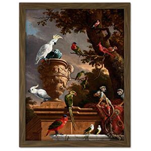 Artery8 Hondecoeter Menagerie Exotic Birds Parrots Painting Artwork Framed Wall Art Print 18X24 Inch Artery8 Hondecoeter Menagerie Exotic Birds Parrots Painting Artwork Framed Wall Art Print 18X24 Inch