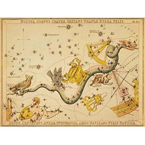 Wee Blue Coo Painting Drawing Star Map Crow Owl Snake Constellation Art Print Poster Wall Decor 12X16 Inch Wee Blue Coo Painting Drawing Star Map Crow Owl Snake Constellation Art Print Poster Wall Decor 12X16 Inch