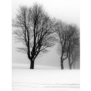 Artery8 Stemberovi Trees Winter Mist Black White Photo Large Wall Art Poster Print Thick Paper 18X24 Inch Artery8 Stemberovi Trees Winter Mist Black White Photo Large Wall Art Poster Print Thick Paper 18X24 Inch