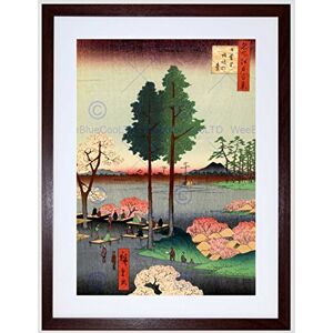 Wee Blue Coo Painting Japanese Woodblock Tall Trees Park New Framed Wall Art Print Wee Blue Coo Painting Japanese Woodblock Tall Trees Park New Framed Wall Art Print