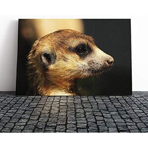 Big Box Art Canvas Print Wall Art Meerkat Mounted and Stretched Box Frame Picture Home Decor for Kitchen, Living, Dining Room, Bedroom, Hallway, Multi-Colour, 24x16 Inch Big Box Art Canvas Print Wall Art Meerkat Mounted and Stretched Box Frame Picture Home Decor for Kitchen, Living, Dining Room, Bedroom, Hallway, Multi-Colour, 24x16 Inch