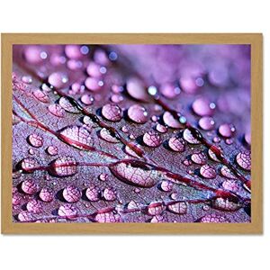 Fine Art Prints Water Droplets Leaf Macro Large Framed Art Print Poster Wall Decor 18x24 inch Fine Art Prints Water Droplets Leaf Macro Large Framed Art Print Poster Wall Decor 18x24 inch