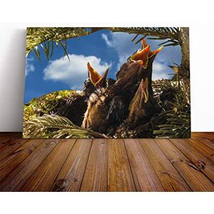 Big Box Art Baby Birds in The Nest (1) Canvas Print Gallery Wrapped 30mm Frame Wall Art 24x16 inches Ready to Hang Modern Bird Picture Living Room Bedroom Lounge Office Big Box Art Baby Birds in The Nest (1) Canvas Print Gallery Wrapped 30mm Frame Wall Art 24x16 inches Ready to Hang Modern Bird Picture Living Room Bedroom Lounge Office