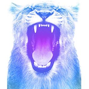 Wee Blue Coo Colourful Roar Lion Unframed Wall Art Print Poster Home Decor Premium Wee Blue Coo Colourful Roar Lion Unframed Wall Art Print Poster Home Decor Premium