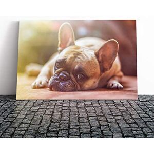 Big Box Art Canvas Print Wall Art Resting French Bulldog Dog Mounted and Stretched Box Frame Picture Home Decor for Kitchen, Living, Dining Room, Bedroom, Hallway, Multi-Colour, 20x14 Inch Big Box Art Canvas Print Wall Art Resting French Bulldog Dog Mounted and Stretched Box Frame Picture Home Decor for Kitchen, Living, Dining Room, Bedroom, Hallway, Multi-Colour, 20x14 Inch