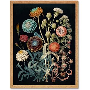 Artery8 Vintage Botanical Ernst Haeckel Style Plant Study Modern Watercolour Painting Illustration Art Print Framed Poster Wall Decor 12x16 inch Artery8 Vintage Botanical Ernst Haeckel Style Plant Study Modern Watercolour Painting Illustration Art Print Framed Poster Wall Decor 12x16 inch