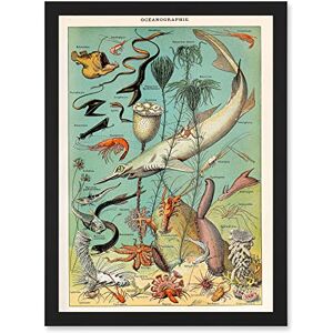 Artery8 - Millot Encyclopedia - Framed - A4 - Wall Art Print Artery8 - Millot Encyclopedia - Framed - A4 - Wall Art Print