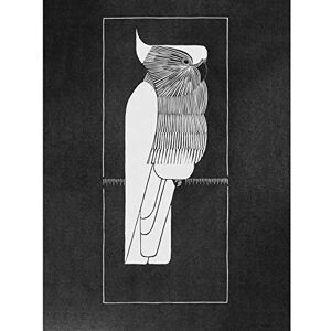 Artery8 Samuel Jessurun De Mesquita Picture Crown Cockatoo Extra Large XL Wall Art Poster Print Artery8 Samuel Jessurun De Mesquita Picture Crown Cockatoo Extra Large XL Wall Art Poster Print