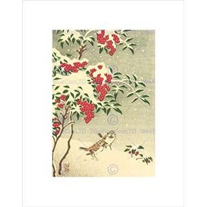 Wee Blue Coo Nature Japan Sparrow Snow Ohara Koson Picture Wall Art Print Wee Blue Coo Nature Japan Sparrow Snow Ohara Koson Picture Wall Art Print