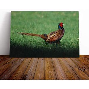 Big Box Art Pheasant Bird Canvas Print Gallery Wrapped 30mm Frame Wall Art 20x14 inches Ready to Hang Modern Animals Picture Living Room Bedroom Lounge Office Big Box Art Pheasant Bird Canvas Print Gallery Wrapped 30mm Frame Wall Art 20x14 inches Ready to Hang Modern Animals Picture Living Room Bedroom Lounge Office