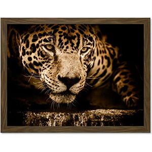 Fine Art Prints Jaguar Head Big Cat Large Framed Art Print Poster Wall Decor 18x24 inch Fine Art Prints Jaguar Head Big Cat Large Framed Art Print Poster Wall Decor 18x24 inch