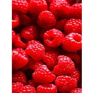 Wee Blue Coo Photography Food Fruit Raspberry Red Juicy Art Print Poster Wall Decor 12X16 Inch Wee Blue Coo Photography Food Fruit Raspberry Red Juicy Art Print Poster Wall Decor 12X16 Inch