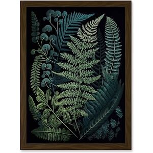 Artery8 Leaf Illustration Fern Fronds Ernst Haeckel Style Artwork Framed A3 Wall Art Print Artery8 Leaf Illustration Fern Fronds Ernst Haeckel Style Artwork Framed A3 Wall Art Print