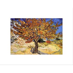 Wee Blue Coo VAN GOGH MULBERRY TREE 1889 OLD MASTER FRAMED ART PRINT MOUNT B12X2107 Wee Blue Coo VAN GOGH MULBERRY TREE 1889 OLD MASTER FRAMED ART PRINT MOUNT B12X2107