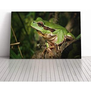 Big Box Art Tree Frog (1) Canvas Print Gallery Wrapped 30mm Frame Wall Art 24x16 inches Ready to Hang Modern Animals Picture Living Room Bedroom Lounge Office Big Box Art Tree Frog (1) Canvas Print Gallery Wrapped 30mm Frame Wall Art 24x16 inches Ready to Hang Modern Animals Picture Living Room Bedroom Lounge Office