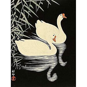 Wee Blue Coo Ohara Koson Swans Unframed Art Print Poster Wall Decor 12X16 Inch Wee Blue Coo Ohara Koson Swans Unframed Art Print Poster Wall Decor 12X16 Inch