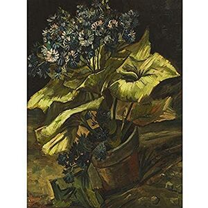 Fine Art Prints Vincent Van Gogh Cineraria Art Print Canvas Premium Wall Decor Poster Mural Fine Art Prints Vincent Van Gogh Cineraria Art Print Canvas Premium Wall Decor Poster Mural