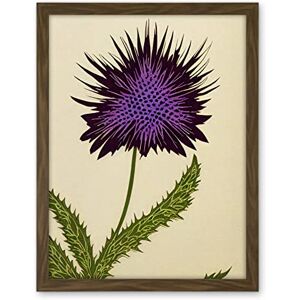 Wee Blue Coo Stylized Modern Purple Scottish Thistle Flower Illustration Artwork Framed Wall Art Print 18X24 Inch Wee Blue Coo Stylized Modern Purple Scottish Thistle Flower Illustration Artwork Framed Wall Art Print 18X24 Inch