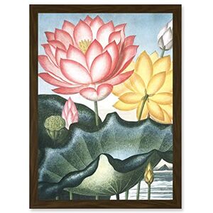 Artery8 - Flowers Lotus Sacred Egyptian Bean Artwork Artery8 - Flowers Lotus Sacred Egyptian Bean Artwork