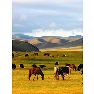 Wee Blue Coo Horses Grazing Grassland Mountains Green Art Print Poster Wall Decor 12X16 Inch Wee Blue Coo Horses Grazing Grassland Mountains Green Art Print Poster Wall Decor 12X16 Inch