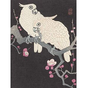 Artery8 Ohara Koson Two Cockatoo And Plum Blossom Painting Extra Large XL Wall Art Poster Print Artery8 Ohara Koson Two Cockatoo And Plum Blossom Painting Extra Large XL Wall Art Poster Print