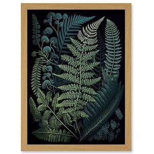 Artery8 Leaf Illustration Fern Fronds Ernst Haeckel Style Artwork Framed A3 Wall Art Print Artery8 Leaf Illustration Fern Fronds Ernst Haeckel Style Artwork Framed A3 Wall Art Print