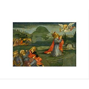 Wee Blue Coo Benvenuto Di Giovanni Italian Agony Garden Wall Art Print Wee Blue Coo Benvenuto Di Giovanni Italian Agony Garden Wall Art Print