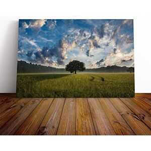 Big Box Art Canvas Print Wall Art Landscape Lone Tree in a Cornfield Mounted & Stretched Box Frame Picture Home Decor for Kitchen, Living Room, Bedroom, Hallway, Multi-Colour, 24x16 Inch Big Box Art Canvas Print Wall Art Landscape Lone Tree in a Cornfield Mounted & Stretched Box Frame Picture Home Decor for Kitchen, Living Room, Bedroom, Hallway, Multi-Colour, 24x16 Inch