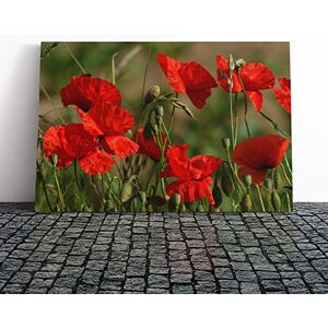 Big Box Art Canvas Print Wall Art Red Poppy Field Flowers (5) Mounted and Stretched Box Frame Picture Home Decor for Kitchen, Living, Dining Room, Bedroom, Hallway, Multi-Colour, 20x14 Inch Big Box Art Canvas Print Wall Art Red Poppy Field Flowers (5) Mounted and Stretched Box Frame Picture Home Decor for Kitchen, Living, Dining Room, Bedroom, Hallway, Multi-Colour, 20x14 Inch