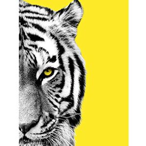 Wee Blue Coo Close up Beasties Tiger Large Wall Art Print Canvas Premium Poster Wee Blue Coo Close up Beasties Tiger Large Wall Art Print Canvas Premium Poster