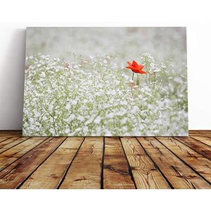Big Box Art Canvas Print Wall Art Flower Lone Poppy Mounted and Stretched Box Frame Picture Home Decor for Kitchen, Living, Dining Room, Bedroom, Hallway, Multi-Colour, 24x16 Inch Big Box Art Canvas Print Wall Art Flower Lone Poppy Mounted and Stretched Box Frame Picture Home Decor for Kitchen, Living, Dining Room, Bedroom, Hallway, Multi-Colour, 24x16 Inch