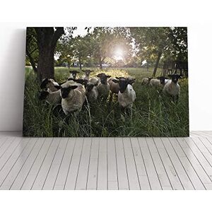 Big Box Art Sheep Flock (1) Canvas Print Gallery Wrapped 30mm Frame Wall Art 20x14 inches Ready to Hang Modern Animals Picture Living Room Bedroom Lounge Office Big Box Art Sheep Flock (1) Canvas Print Gallery Wrapped 30mm Frame Wall Art 20x14 inches Ready to Hang Modern Animals Picture Living Room Bedroom Lounge Office