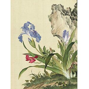 Fine Art Prints Castiglione Iris Flower Plant Painting Large Print Poster Wall Art Decor Picture Fine Art Prints Castiglione Iris Flower Plant Painting Large Print Poster Wall Art Decor Picture