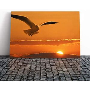 Big Box Art Seagul Bird Orange Sunset Canvas Print Gallery Wrapped 30mm Frame Wall Art 30x20 inches Ready to Hang Modern Animals Picture Living Room Bedroom Lounge Office Big Box Art Seagul Bird Orange Sunset Canvas Print Gallery Wrapped 30mm Frame Wall Art 30x20 inches Ready to Hang Modern Animals Picture Living Room Bedroom Lounge Office