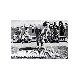 Wee Blue Coo Sport Vintage Baseball Greenbelt Maryland Bat Bench Wall Art Print Wee Blue Coo Sport Vintage Baseball Greenbelt Maryland Bat Bench Wall Art Print