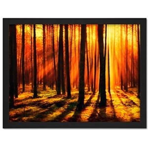 Artery8 Forest Sunset Nature Photograph Artwork Framed Wall Art Print 18X24 Inch Artery8 Forest Sunset Nature Photograph Artwork Framed Wall Art Print 18X24 Inch