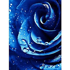 Wee Blue Coo Nature Plant Blue Rose Water Drop Cool Large Art Print Poster Wall Decor 18X24 Inch Wee Blue Coo Nature Plant Blue Rose Water Drop Cool Large Art Print Poster Wall Decor 18X24 Inch