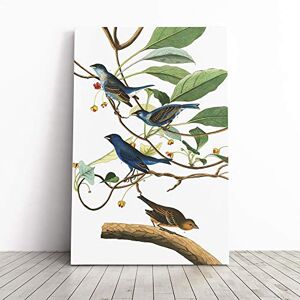 Big Box Art John James Audubon Indigo Bird Canvas Print Gallery Wrapped 30mm Frame Wall Art 30x20 inches Ready to Hang Modern Animals Picture Living Room Bedroom Lounge Office Big Box Art John James Audubon Indigo Bird Canvas Print Gallery Wrapped 30mm Frame Wall Art 30x20 inches Ready to Hang Modern Animals Picture Living Room Bedroom Lounge Office