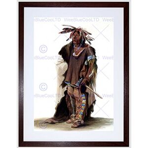 Wee Blue Coo Painting Study Native American Bodmer Sioux Warrior Framed Wall Art Print Wee Blue Coo Painting Study Native American Bodmer Sioux Warrior Framed Wall Art Print