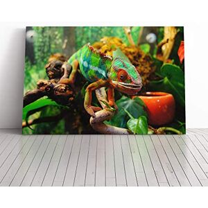 Big Box Art Chameleon Lizard (2) Canvas Print Gallery Wrapped 30mm Frame Wall Art 30x20 inches Ready to Hang Modern Animals Picture Living Room Bedroom Lounge Office Big Box Art Chameleon Lizard (2) Canvas Print Gallery Wrapped 30mm Frame Wall Art 30x20 inches Ready to Hang Modern Animals Picture Living Room Bedroom Lounge Office