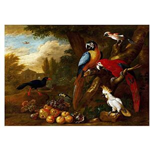 Wee Blue Coo Painting Bogdani Two Macaws Cockatoo Jay Fruit 12x16 Wall Art Print Wee Blue Coo Painting Bogdani Two Macaws Cockatoo Jay Fruit 12x16 Wall Art Print