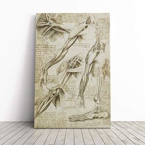 Big Box Art Canvas Print Wall Art Leonardo Da Vinci Anatomy 2 Mounted and Stretched Box Frame Picture Home Decor for Kitchen, Living, Dining Room, Bedroom, Hallway, Multi-Colour, 30x20 Inch Big Box Art Canvas Print Wall Art Leonardo Da Vinci Anatomy 2 Mounted and Stretched Box Frame Picture Home Decor for Kitchen, Living, Dining Room, Bedroom, Hallway, Multi-Colour, 30x20 Inch